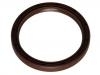 Crankshaft Oil Seal:14085829