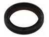 Crankshaft Oil Seal:77 01 473 494