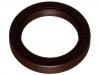 Crankshaft Oil Seal:10128316
