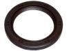 Crankshaft Oil Seal:96416399