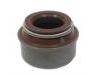 Dichtring, Ventilschaft Valve Stem Seal:50 00 676 155